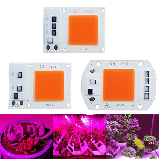 LED-Wachstums-COB-Lichtchip, volles Spektrum, AC 220 V, 10 W, 20 W, 30 W, 50 W, kein Treiber erforderlich für das Wachstum von Blumensämlingen, Pflanzenbeleuchtung
