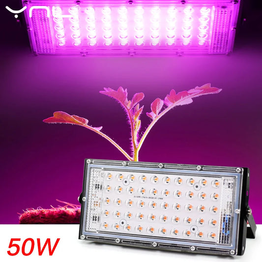 LED-Wachstumslicht, Phyto-Lampe, AC 220 V, 50 W, LED-Vollspektrum-Flutlicht, für Innen- und Außenbereich, Gewächshauspflanze, Hydrokultur-Pflanzenstrahler